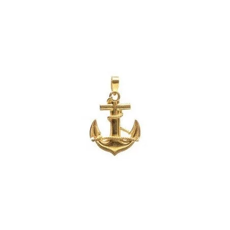Gouden Surinaamse anker hanger | Surinaams goud | 18 karaat Surinaams goud