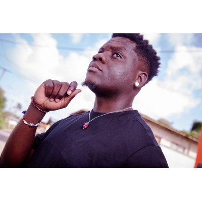 Surinaamse ala kondre armband | Ala kondre armband Suriname zilver