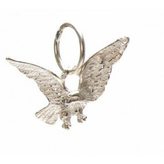 Surinaamse zilveren hanger | Surinaamse hanger | Surinaamse juwelier