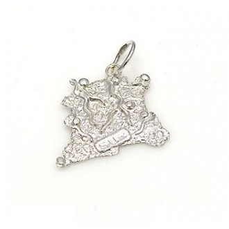 Surinaamse landkaart hanger