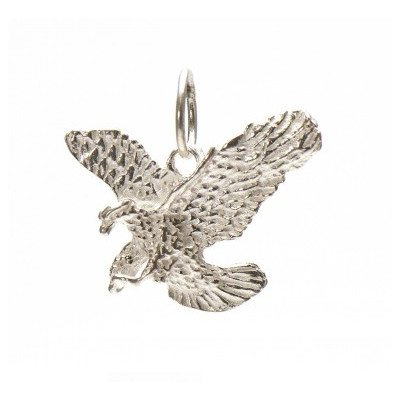 Surinaamse adelaar hanger | Surinaamse juwelier